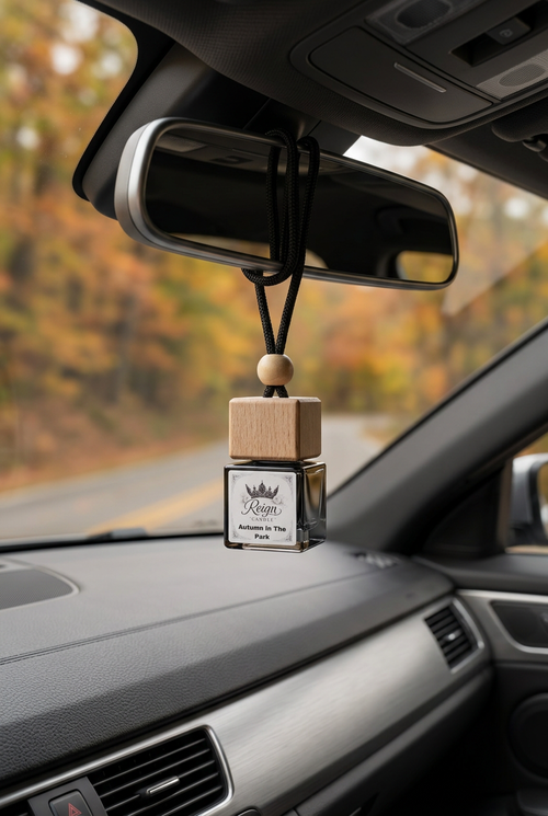 Bourbon Butterscotch diffuser on a rearview mirror