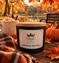 Autumn in the park